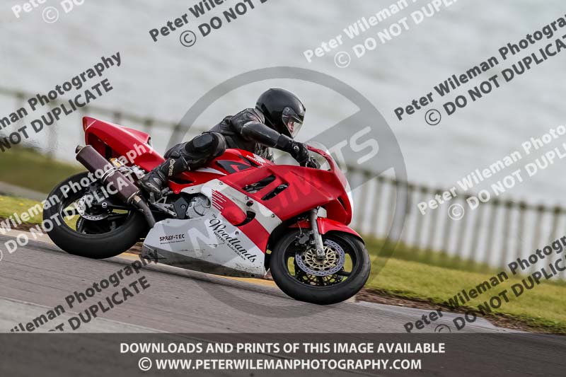 PJ Motorsport 2019;anglesey no limits trackday;anglesey photographs;anglesey trackday photographs;enduro digital images;event digital images;eventdigitalimages;no limits trackdays;peter wileman photography;racing digital images;trac mon;trackday digital images;trackday photos;ty croes